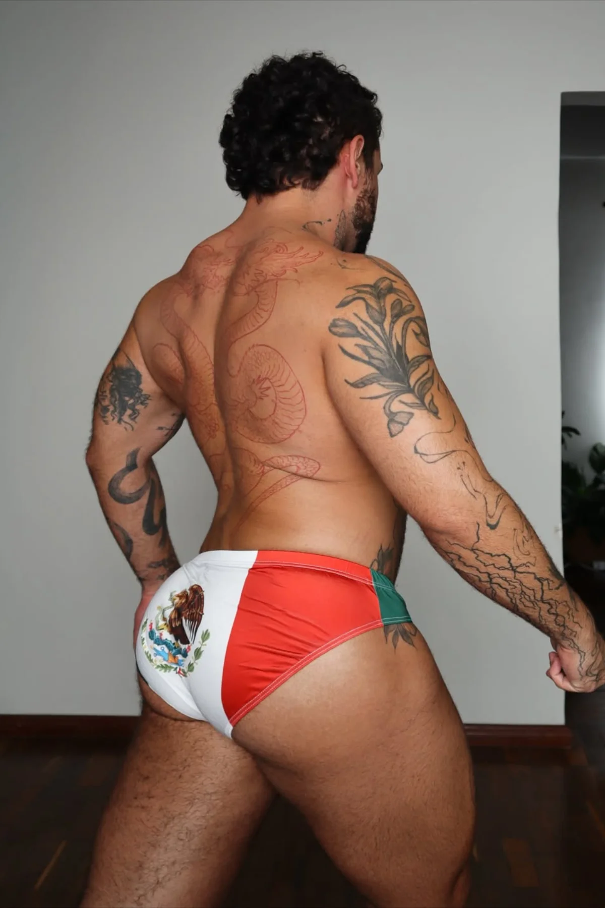Lovesick Briefs - Mexican Flag - Image 4