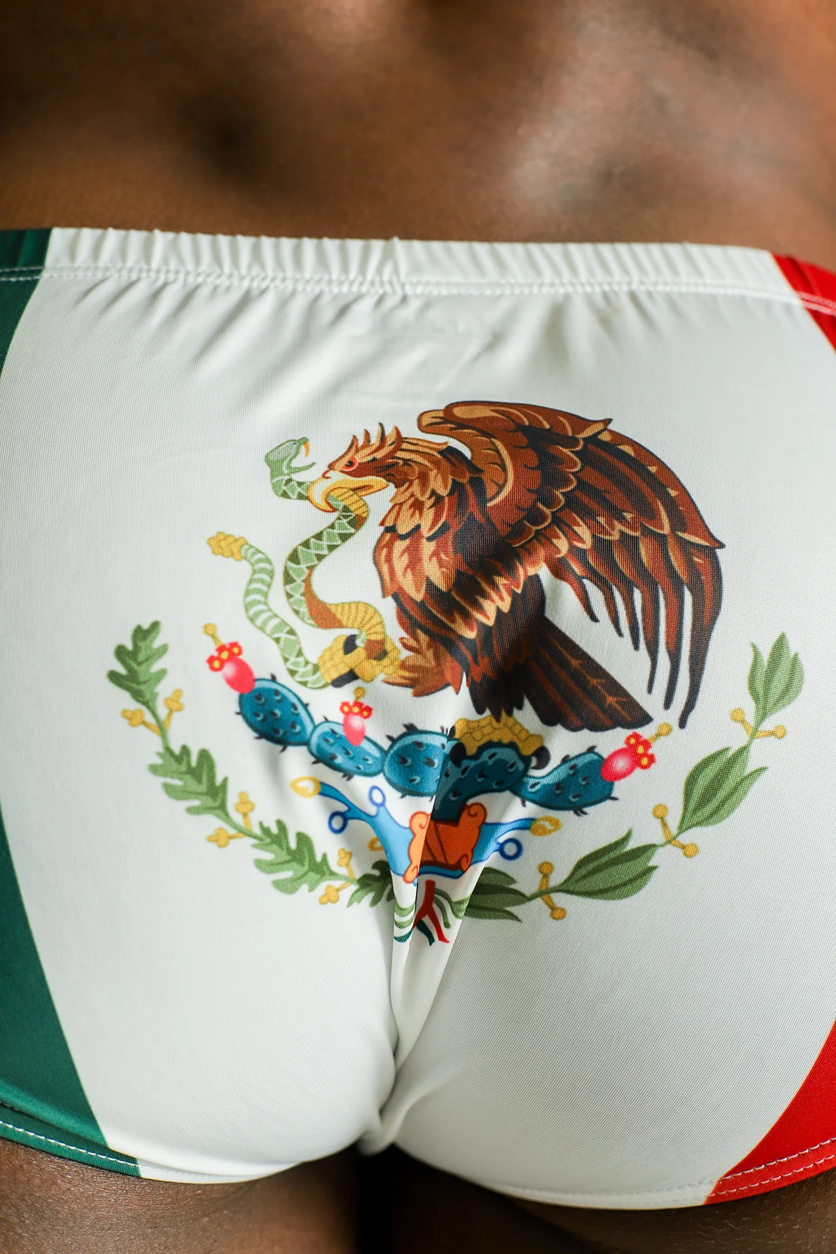 Lovesick Briefs - Mexican Flag - Image 5